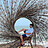 ajit_sharma